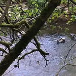 Auszeit Am Eifelsteig Daun