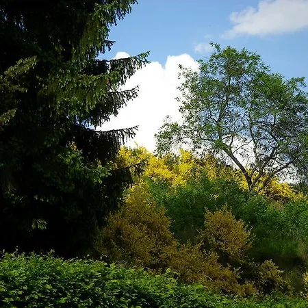 בית הארחה Auszeit Am Eifelsteig דאון