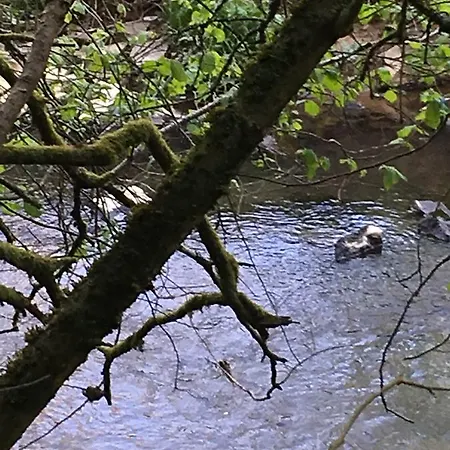 Auszeit Am Eifelsteig Daun