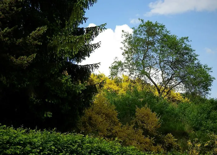 Casa de hóspedes Auszeit Am Eifelsteig Daun