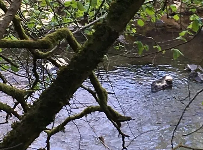 Auszeit Am Eifelsteig Daun