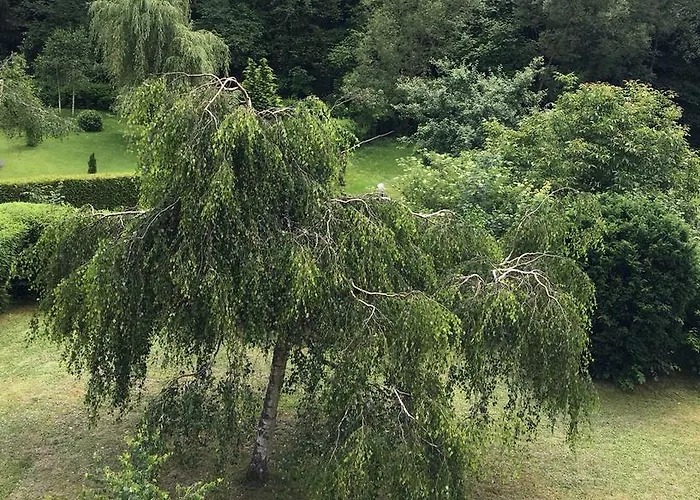Konukevi Auszeit Am Eifelsteig Daun